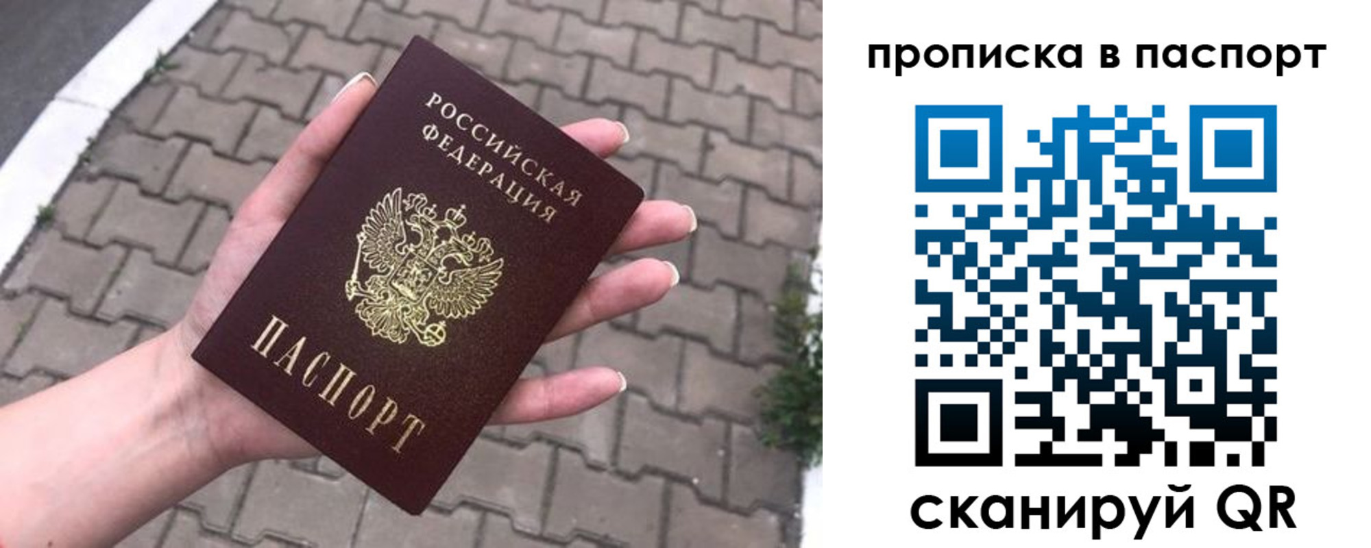 прописка поиск в Саранске